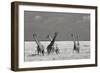 Look Girl Strange Animals-Mathilde Guillemot-Framed Photographic Print