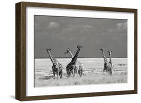 Look Girl Strange Animals-Mathilde Guillemot-Framed Photographic Print