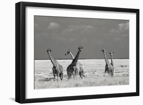 Look Girl Strange Animals-Mathilde Guillemot-Framed Photographic Print