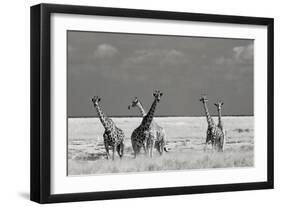 Look Girl Strange Animals-Mathilde Guillemot-Framed Photographic Print