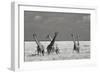 Look Girl Strange Animals-Mathilde Guillemot-Framed Photographic Print