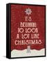 Look Like Xmas-Erin Clark-Framed Stretched Canvas