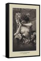 Look of Enchantment-null-Framed Stretched Canvas