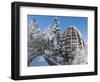 Look Out of Canopy Walkway of Visitor Center of National Park Bavarian Forest , Deep of Winter-Martin Zwick-Framed Photographic Print