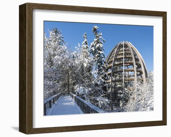 Look Out of Canopy Walkway of Visitor Center of National Park Bavarian Forest , Deep of Winter-Martin Zwick-Framed Photographic Print