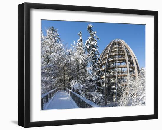 Look Out of Canopy Walkway of Visitor Center of National Park Bavarian Forest , Deep of Winter-Martin Zwick-Framed Photographic Print