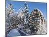 Look Out of Canopy Walkway of Visitor Center of National Park Bavarian Forest , Deep of Winter-Martin Zwick-Mounted Photographic Print