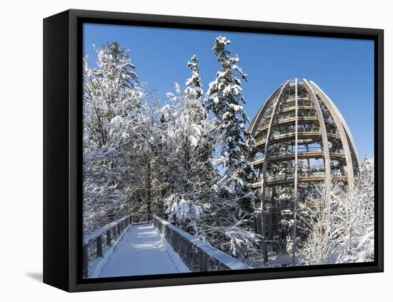 Look Out of Canopy Walkway of Visitor Center of National Park Bavarian Forest , Deep of Winter-Martin Zwick-Framed Stretched Canvas