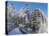 Look Out of Canopy Walkway of Visitor Center of National Park Bavarian Forest , Deep of Winter-Martin Zwick-Stretched Canvas