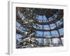 Look Out of Canopy Walkway of Visitor Center of National Park Bavarian Forest , Deep of Winter-Martin Zwick-Framed Photographic Print