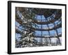 Look Out of Canopy Walkway of Visitor Center of National Park Bavarian Forest , Deep of Winter-Martin Zwick-Framed Photographic Print