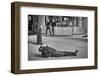 Look Up-Henk Van Maastricht-Framed Photographic Print