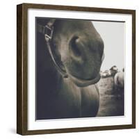 Looking a Gift Horse in the Mouth-Theo Westenberger-Framed Photographic Print