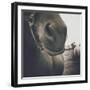 Looking a Gift Horse in the Mouth-Theo Westenberger-Framed Photographic Print