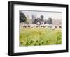 Looking across Christ Church Meadows, 1989-Lucy Willis-Framed Giclee Print