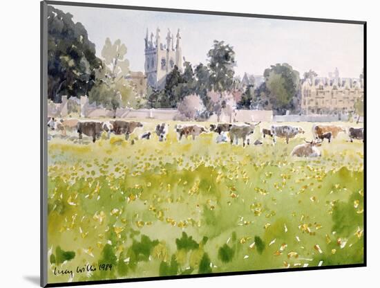 Looking across Christ Church Meadows, 1989-Lucy Willis-Mounted Giclee Print