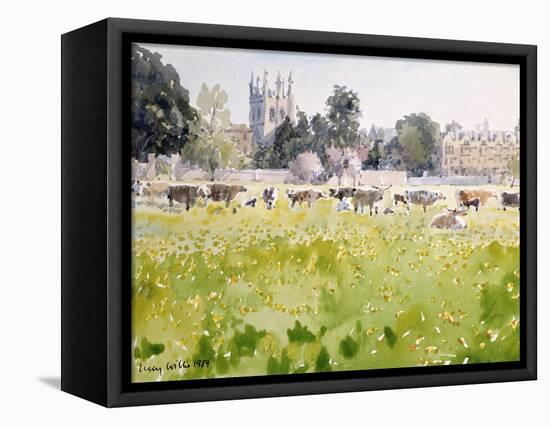 Looking across Christ Church Meadows, 1989-Lucy Willis-Framed Stretched Canvas