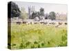 Looking across Christ Church Meadows, 1989-Lucy Willis-Stretched Canvas