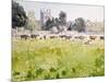 Looking across Christ Church Meadows, 1989-Lucy Willis-Mounted Giclee Print