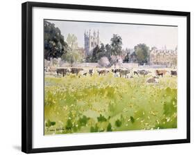 Looking across Christ Church Meadows, 1989-Lucy Willis-Framed Giclee Print