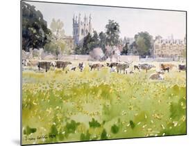 Looking across Christ Church Meadows, 1989-Lucy Willis-Mounted Giclee Print