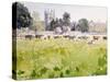 Looking across Christ Church Meadows, 1989-Lucy Willis-Stretched Canvas