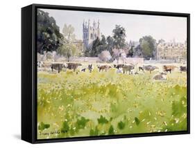 Looking across Christ Church Meadows, 1989-Lucy Willis-Framed Stretched Canvas