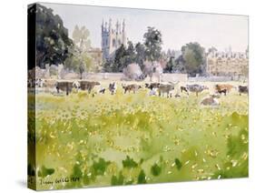 Looking across Christ Church Meadows, 1989-Lucy Willis-Stretched Canvas