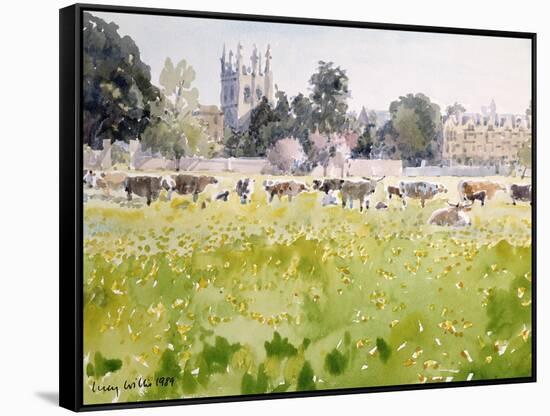 Looking across Christ Church Meadows, 1989-Lucy Willis-Framed Stretched Canvas