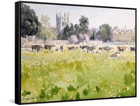 Looking across Christ Church Meadows, 1989-Lucy Willis-Framed Stretched Canvas