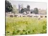 Looking across Christ Church Meadows, 1989-Lucy Willis-Stretched Canvas