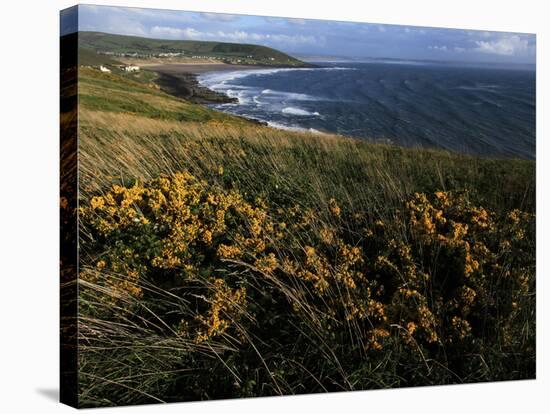 Looking across Croyde Bay from Baggy Point, North Devon, England, United Kingdom, Europe-David Pickford-Stretched Canvas