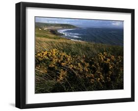 Looking across Croyde Bay from Baggy Point, North Devon, England, United Kingdom, Europe-David Pickford-Framed Premium Photographic Print