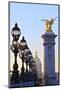 Looking across the Pont Alexandre Iii to the Dome Church, Paris, France, Europe-Neil-Mounted Photographic Print