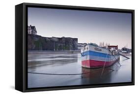 Looking across the River Maine Towards the Chateau of Angers, Maine-Et-Loire, France, Europe-Julian Elliott-Framed Stretched Canvas