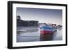 Looking across the River Maine Towards the Chateau of Angers, Maine-Et-Loire, France, Europe-Julian Elliott-Framed Photographic Print