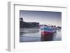 Looking across the River Maine Towards the Chateau of Angers, Maine-Et-Loire, France, Europe-Julian Elliott-Framed Photographic Print