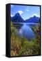 Looking across the Waters of Milford Sound Towards Mitre Peak on the South Island of New Zealand-Paul Dymond-Framed Stretched Canvas