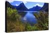 Looking across the Waters of Milford Sound Towards Mitre Peak on the South Island of New Zealand-Paul Dymond-Stretched Canvas