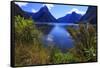 Looking across the Waters of Milford Sound Towards Mitre Peak on the South Island of New Zealand-Paul Dymond-Framed Stretched Canvas
