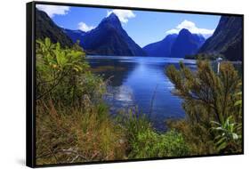 Looking across the Waters of Milford Sound Towards Mitre Peak on the South Island of New Zealand-Paul Dymond-Framed Stretched Canvas