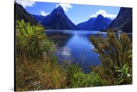 Looking across the Waters of Milford Sound Towards Mitre Peak on the South Island of New Zealand-Paul Dymond-Stretched Canvas