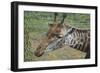 Looking Around-Luis Aguirre-Framed Giclee Print