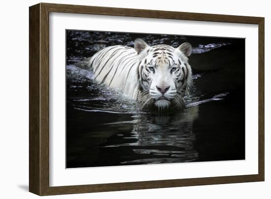 Looking At Me Looking At You-Renee Doyle-Framed Giclee Print