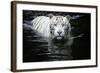 Looking At Me Looking At You-Renee Doyle-Framed Giclee Print