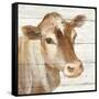 Looking at You I Shiplap-Albena Hristova-Framed Stretched Canvas