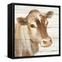 Looking at You I Shiplap-Albena Hristova-Framed Stretched Canvas