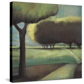 Looking Back I-Tandi Venter-Stretched Canvas