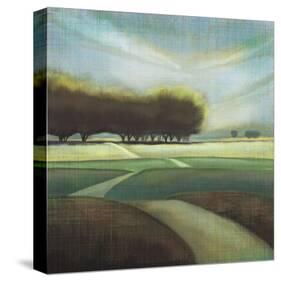 Looking Back II-Tandi Venter-Stretched Canvas