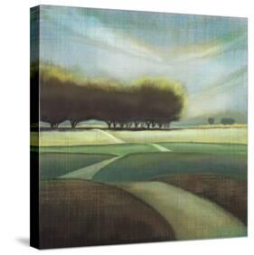 Looking Back II-Tandi Venter-Stretched Canvas